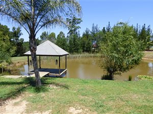 3 ha Farm in Rheenendal