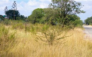 4.5 ha Land available in Ivydale