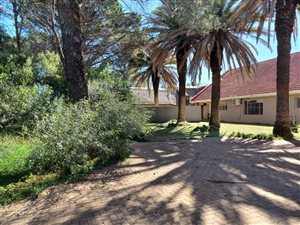 566 ha Farm in Brandfort