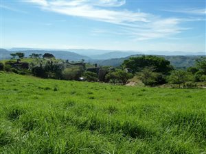 2030 m² Land available in Alverstone