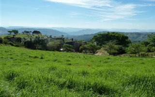 2030 m² Land available in Alverstone