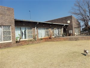 4 ha Farm in Middelburg Central