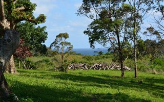 16 ha Farm with House in Marburg