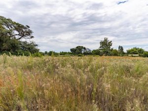 3.1 ha Land available in Wilkoppies