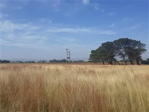 2.6 ha Land available in Rikasrus AH