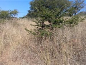 2.2 ha Land available in Ashburton