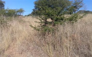 2.2 ha Land available in Ashburton