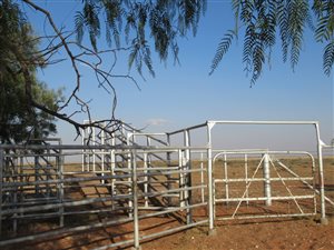 2944 ha Farm in Douglas