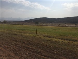 295 ha Farm in Oudtshoorn