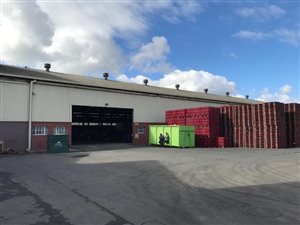 10528 m² Industrial space in Elsies River