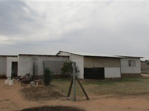 4.2 ha Farm in Leeukuil AH