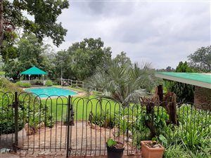 80 ha Farm in Olifantsnek