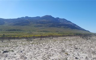 924 m² Land available in Pringle Bay
