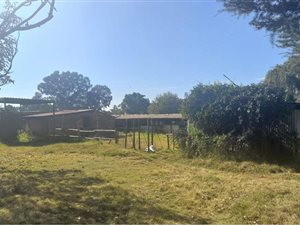 1.8 ha Farm in Rynsoord