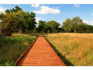 1306 m² Land available in Waterfall Country Estate