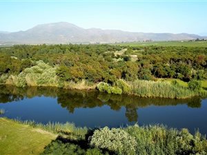 510 ha Farm in Robertson