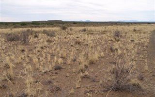 1345 ha Farm in Prince Albert