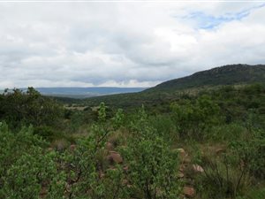 1.8 ha Land available in Modimole (Nylstroom)