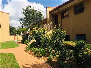 3 Bed Apartment in Oriel