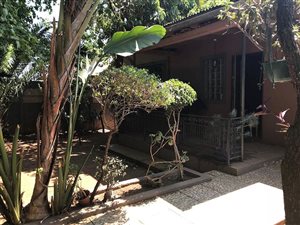 3 Bed House in Orange Grove