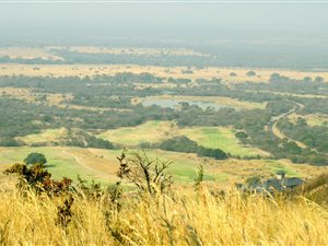 5201 m² Land available in Euphoria Golf Estate