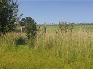 994 m² Land available in Glenanda