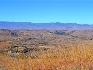 39 ha Farm in Clarens