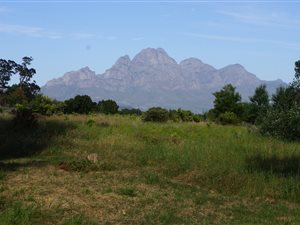 8 ha Farm in Franschhoek