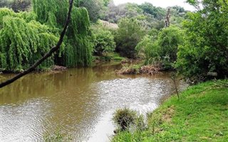 1 m² Farm in Rietfontein