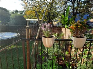 3 Bed Duplex in Meyerspark