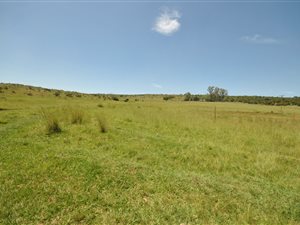 49 ha Farm in Newcastle Central