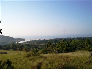 1382 m² Land available in Palm Beach