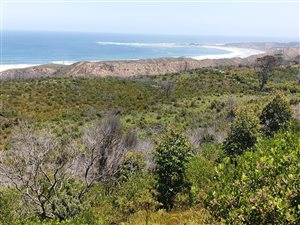 8.7 ha Land available in Brenton on Sea