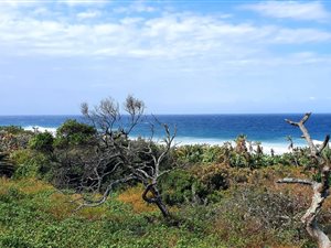 1615 m² Land available in Mtwalume