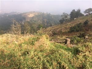 1857 m² Land available in Alverstone