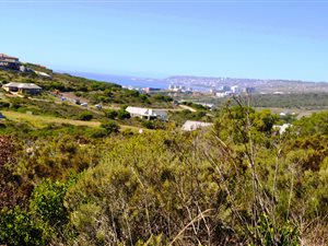 1548 m² Land available in Num Num Estate