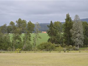 70.2 ha Farm in Rheenendal