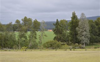 70.2 ha Farm in Rheenendal