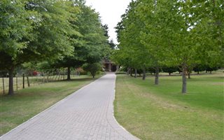 70.2 ha Farm in Rheenendal