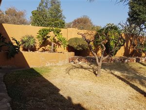 1 Bed Garden Cottage in Protea Ridge