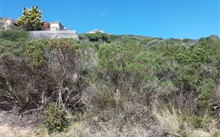 955 m² Land available in Cola Beach
