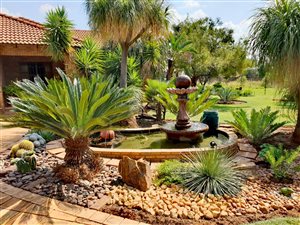 3 Bed House in Derdepoort