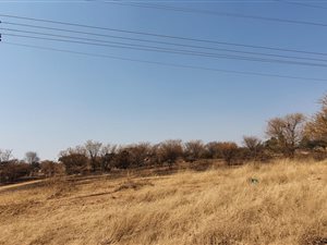 4 ha Farm in Ivydale
