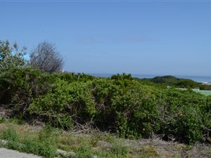 626 m² Land available in Cape St Francis