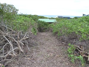 626 m² Land available in Cape St Francis