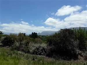 6 ha Land available in Hoekwil