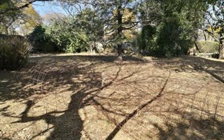 1000 m² Land available in Lombardy East
