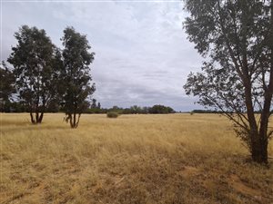 9.5 ha Land available in Bainsvlei