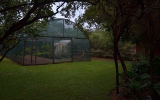 8.5 ha Farm in Wonderboom