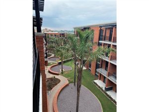 1 Bed Apartment in Melrose